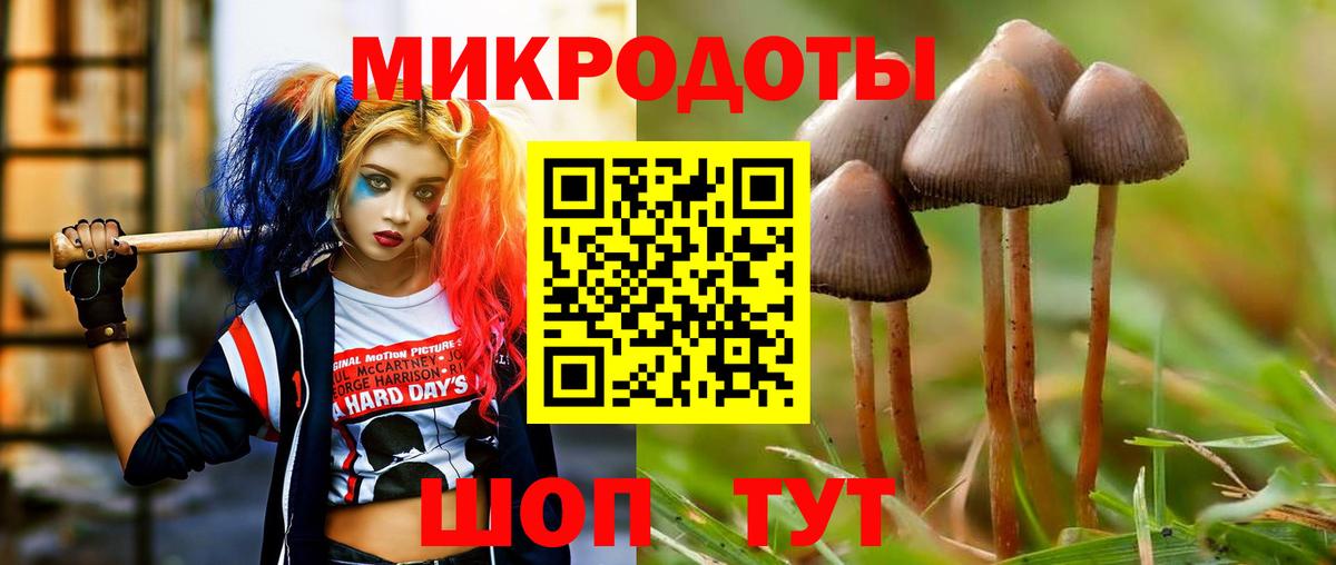 Псилоцибиновые грибы MAGIC MUSHROOMS Сосновоборск