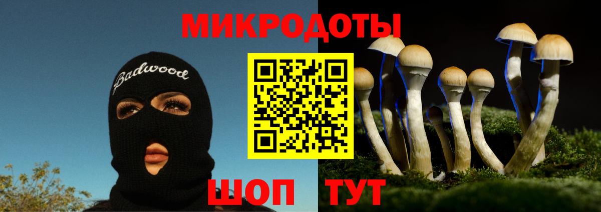 Галлюциногенные грибы MAGIC MUSHROOMS  Вход с VPN  Сосновоборск  Псилоцибиновые грибы Psilocybe 